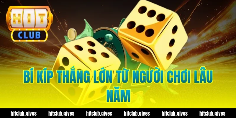 Tài Xỉu MD5 Hit Club – Cách Check Mã Xanh Chín, Minh Bạch