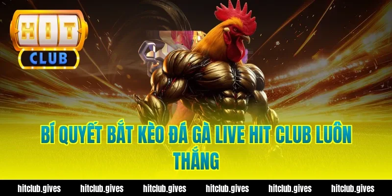 Bí Quyết Bắt Kèo Đá Gà Live Hit Club Luôn Thắng