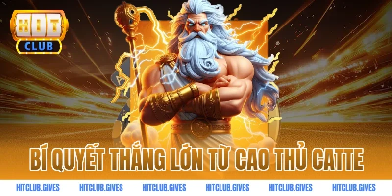 Bí quyết thắng lớn từ cao thủ catte
