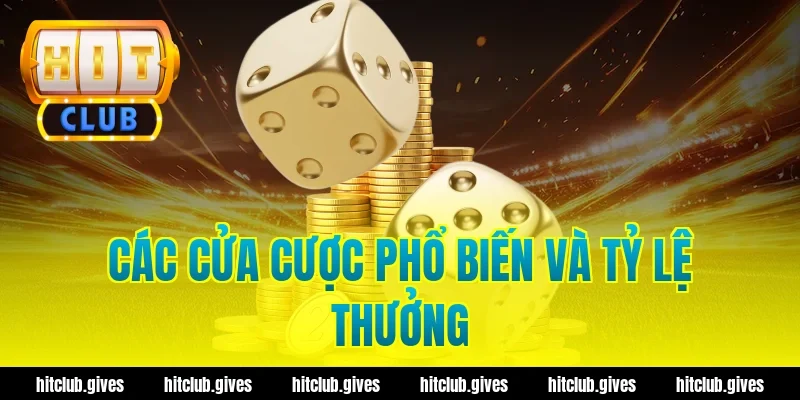 Tài Xỉu MD5 Hit Club – Cách Check Mã Xanh Chín, Minh Bạch