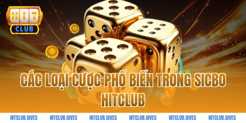 Các loại cược phổ biến trong sicbo HITCLUB