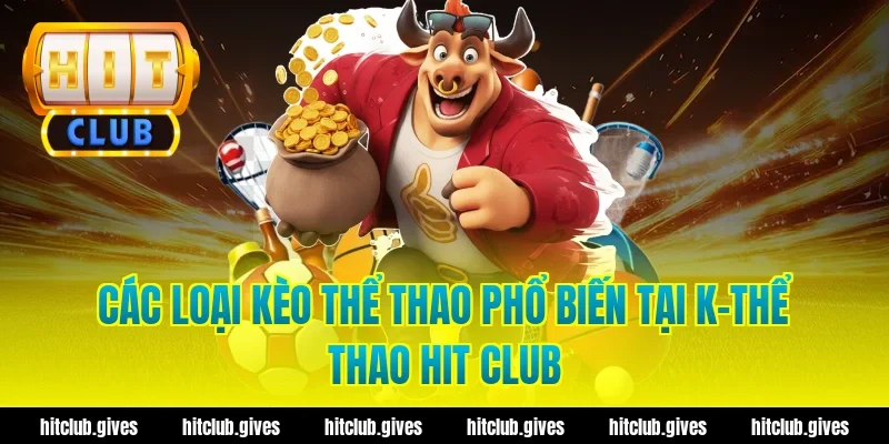 Các loại kèo thể thao phổ biến tại k-thể thao Hit Club