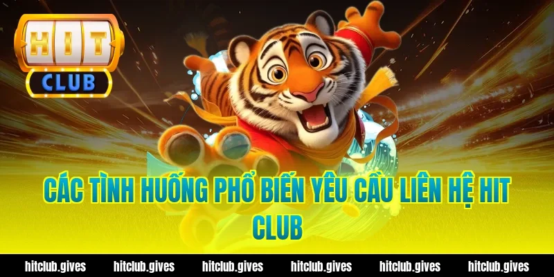 Cách Liên Hệ Hit Club Chuẩn Xác, Hỗ Trợ Nhanh 24/7