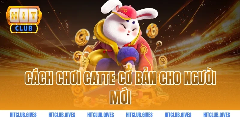 Cách chơi catte cơ bản cho người mới