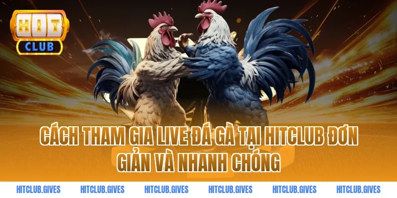 Cách tham gia live đá gà tại HitClub đơn giản và nhanh chóng