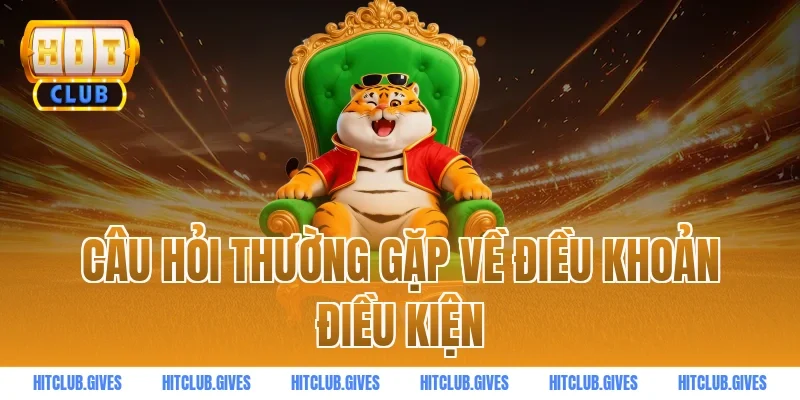 Câu hỏi thường gặp về điều khoản điều kiện