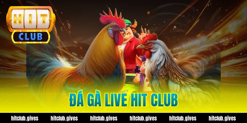 đá gà live hit club