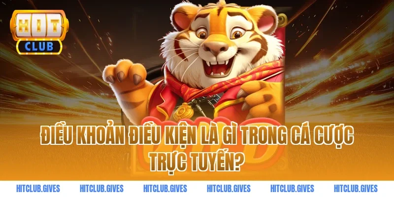 Điều khoản điều kiện là gì trong cá cược trực tuyến?