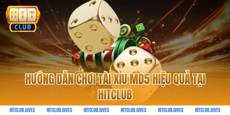 Hướng dẫn chơi tài xỉu md5 hiệu quả tại HitClub