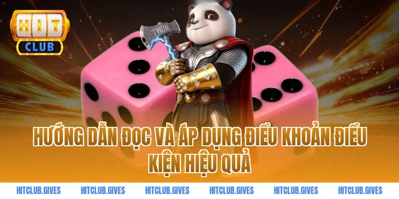 Hướng dẫn đọc và áp dụng điều khoản điều kiện hiệu quả