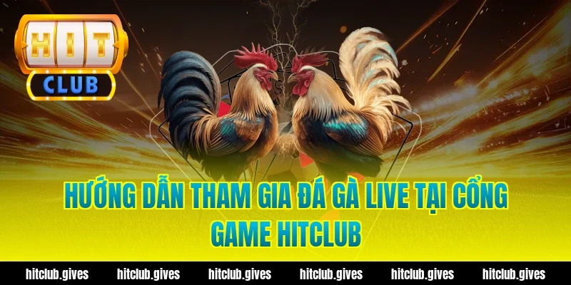 Hướng Dẫn Tham Gia Đá Gà Live Tại Cổng Game Hitclub
