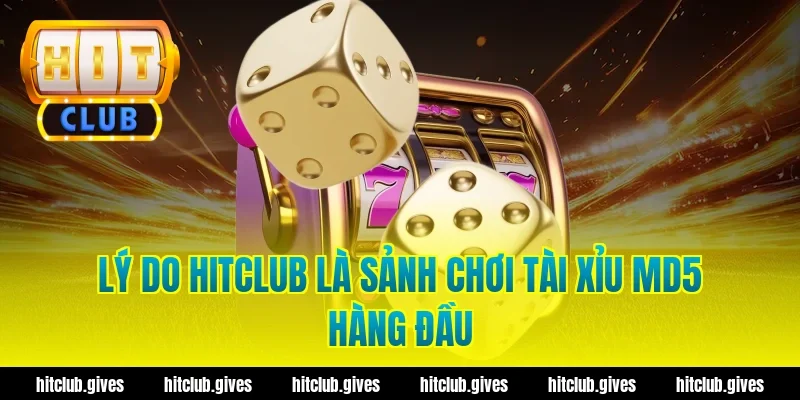 Tài Xỉu MD5 Hit Club – Cách Check Mã Xanh Chín, Minh Bạch