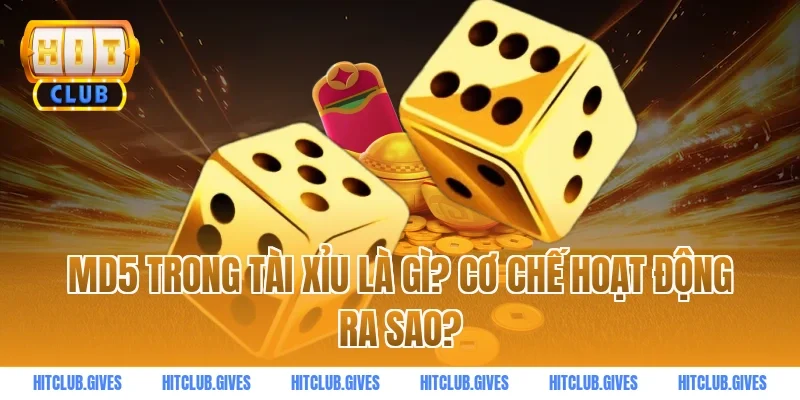 MD5 trong tài xỉu là gì? Cơ chế hoạt động ra sao?