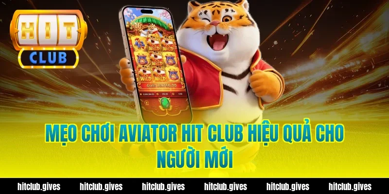 Mẹo chơi aviator hit club hiệu quả cho người mới