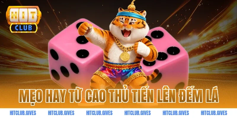 Mẹo hay từ cao thủ tiến lên đếm lá