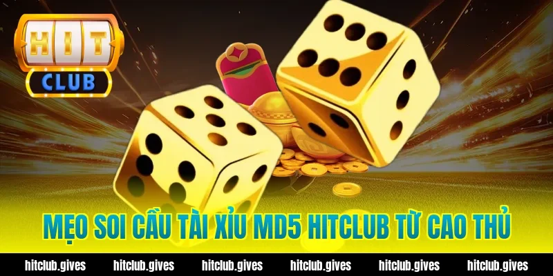 Tài Xỉu MD5 Hit Club – Cách Check Mã Xanh Chín, Minh Bạch