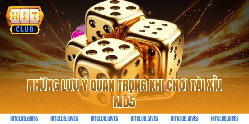 Những lưu ý quan trọng khi chơi tài xỉu md5