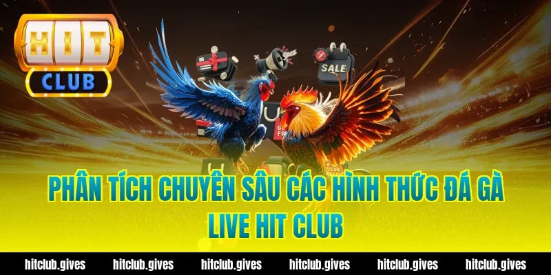 Phân Tích Chuyên Sâu Các Hình Thức Đá Gà Live Hit Club