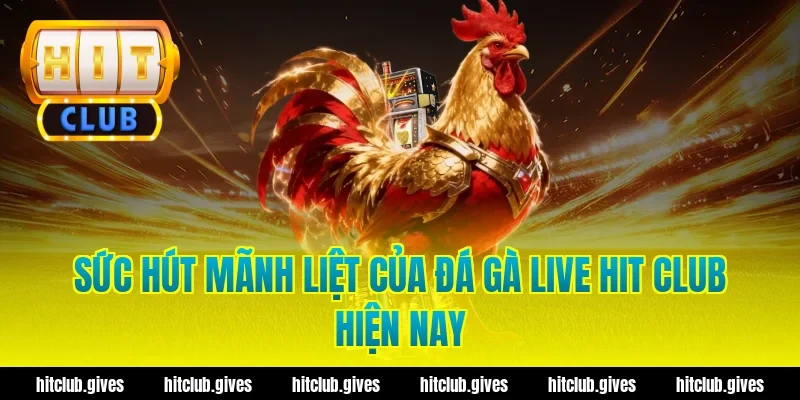 Sức Hút Mãnh Liệt Của Đá Gà Live Hit Club Hiện Nay