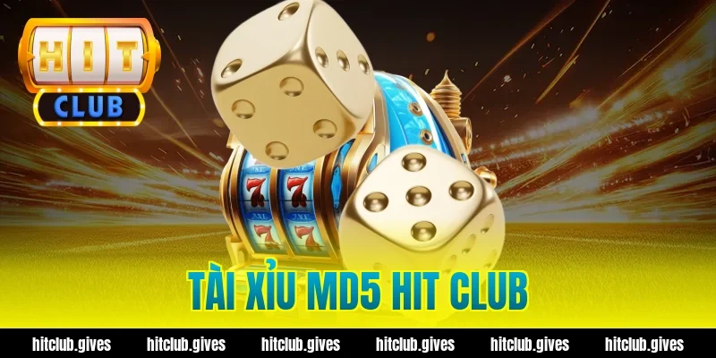 Tài Xỉu MD5 Hit Club – Cách Check Mã Xanh Chín, Minh Bạch