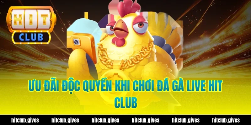 Ưu Đãi Độc Quyền Khi Chơi Đá Gà Live Hit Club